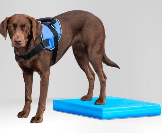 Balance Pad