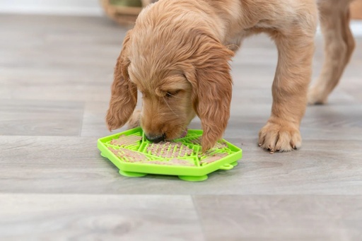 [T-34980] Lick'n Snack Matte